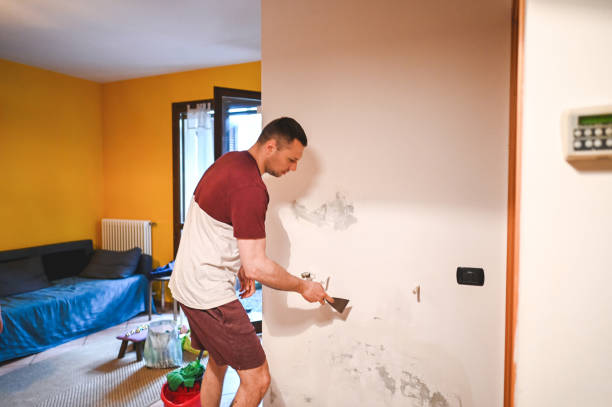 Best Same-Day Mold Removal  in New Rockford, ND